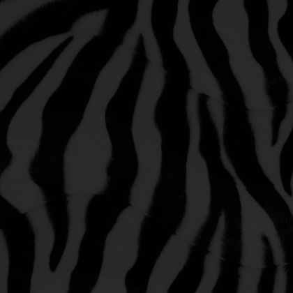 Portafolio de Mariana Álvarez-Comunicadora gráfica publicitaria